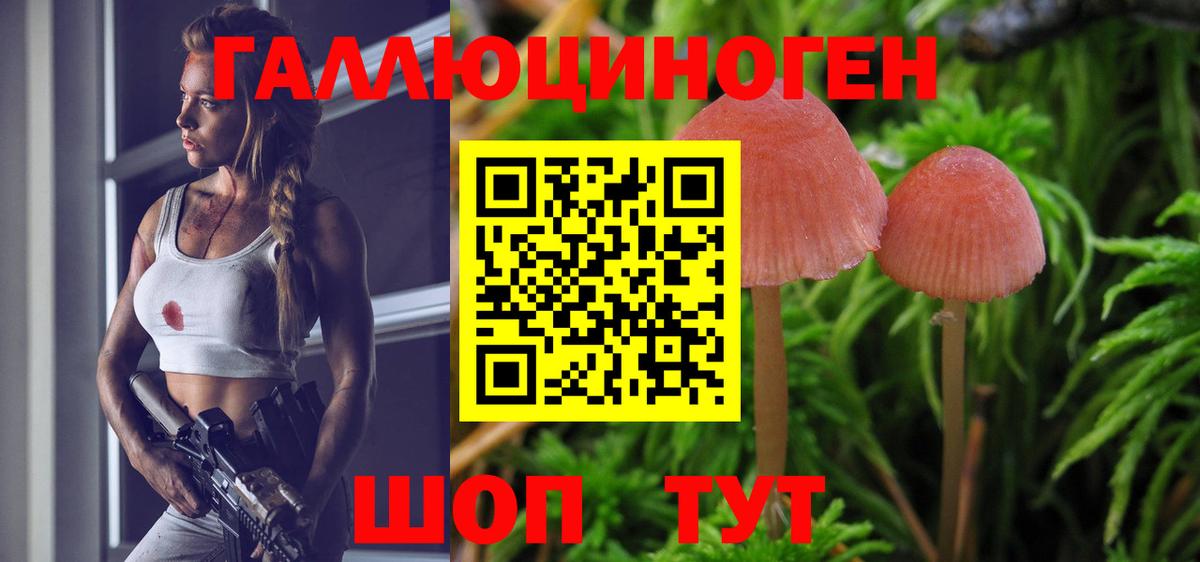 Псилоцибиновые грибы ЛСД Алейск