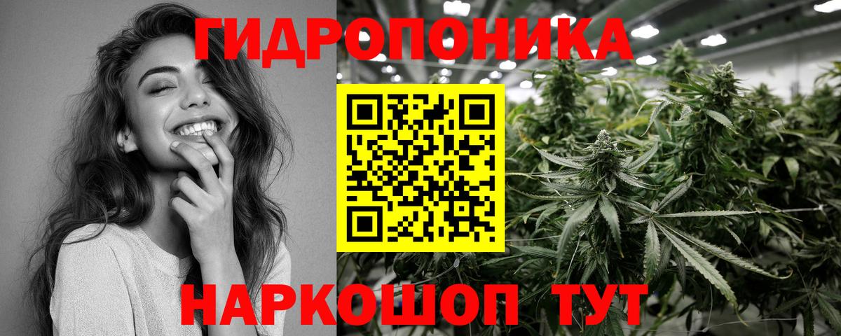 Канабис гибрид Алейск